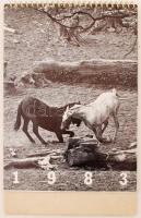 1983 Hemző Károly: Asztali naptár, Lovakat ábrázoló 18x24 cm, egy beírással