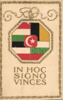 In hoc signo vinces / Flags of the Central Powers, golden decoration (EK9