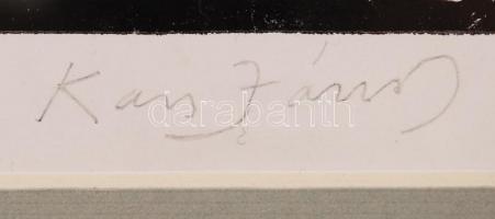 Kass János (1927-2010): Ószövetségi sorozat egy darabja. Magasnyomású rézkarc, papír, jelzett, üvege...