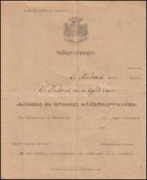 1891-1895 Érmindszent, Szilágyvármegye állami és községi adókönyvecske