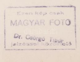 cca 1950 Dr. Csörgeő Tibor (1896-1968): Röntgenorvos Budapesten, a XI. kerületi Fehérvári úti SZTK-b...