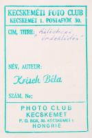 cca 1960 Krisch Béla (Kecskemét): Különböző érdeklődés, az első fecskék a Balaton partján…...