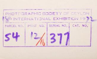 Medgyesi László (Kecskemét): Abend am Fluss, feliratozott vintage fotóművészeti alkotás a szerző hag...