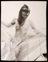 cca 1980 Balatoni sellő átlátszó selyemben, vitorlás hajón, finoman erotikus fénykép, 40x30 cm / cca 1980 Nude photo, 40x30 cm