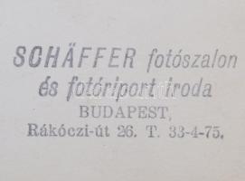 1935 A "Jövőnk" nevű gép keresztelő és átadó ünnepsége a Mátyásföldi reptéren Szendy Károl...