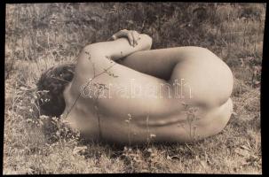 cca 1970 Magzatpózban, kint a réten, finoman erotikus fotóművészeti alkotás, 26x40 cm / cca 1970 Erotic photo, 26x40 cm