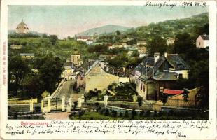 Selmecbánya, Látkép az Akadémiai palotából; kiadja Joerges özv. és fia / view from the academy (EB)