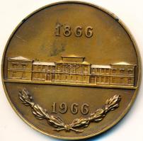 Vegyes: 1971. "25 éves a forint" Br plakett eredeti tokban (51x81mm) + Románia 1966. "...