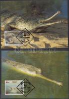 WWF Ganges Gavial set on 4 CM WWF Gangeszi gaviál sor 4 CM