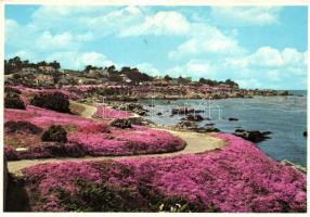 12 db MODERN amerikai városképes lap, jó minőségű / 12 modern American postcards, good quality