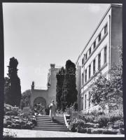 cca 1950 Krisch Béla (Kecskemét): Kolozsvári Botanikus kert, aláírt, feliratozott vintage fotó, 26x24 cm