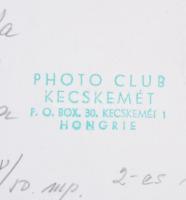 cca 1950 Krisch Béla (Kecskemét): Kolozsvári Botanikus kert, aláírt, feliratozott vintage fotó, 26x2...