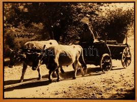 cca 1930 Thöresz Dezső (Békéscsaba, 1902-1963): Hazafelé, jelzés nélküli, nagyméretű vintage fotóműv...