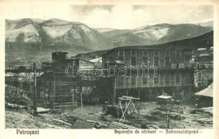 Petrozsény - 3 db régi városképes lap: szénosztályozó, fürdő / 3 old postcards, mine, spa