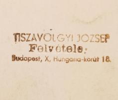 1960 Kossa István (1904-1965) közlekedés- és postaügyi miniszter, dedikált fotó, Tiszavölgyi József ...
