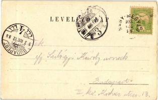 Nagymegyer, Református és katolikus templom, hercegi erdőlak, városház; kiadja Goldstein Jozsua / ch...