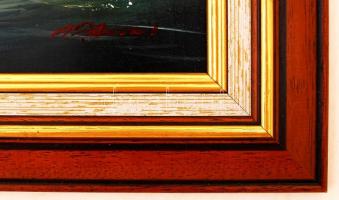 Adilov J Alin: Szigeten. Olaj, farost, jelzett, keretben, 30×40 cm