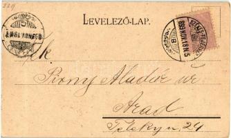 1899 Székesfehérvár, Javítóintézet; Kaufmann F. kiadása (EK)