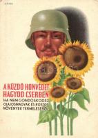 A küzdő honvédet hagyod cserben, ha nem gondoskodsz olajos magvak és rostos növények termeléséről / Hungarian sunflower advertisement s: D. Szabó (EK)