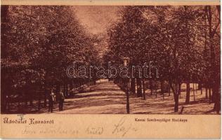 Kassa, Kosice - 16 db háború előtti városképes lap / 16 pre-1945 town-view postcards