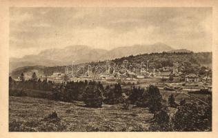 3 db RÉGI erdélyi városképes lap: Torda, Orsova, Predeal / 3 old Transylvanian postcards