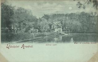 Arad -11 db régi képeslap / 11 old postcards