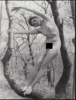 cca 1970 Hajlékony, akár a fák&#8230;.,finoman erotikus fénykép, 24x18 cm / cca 1970 Erotic photo, 24x18 cm