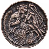 Zutt Richard (1887-1938) 1914. "Hadsegélyező Hivatal az árváknak" ezüstözött fém emlékérem. "NEM HAGYLAK TITEKET ÁRVÁKUL ELJÖVÖK TIHOZZÁTOK JÁNOS XIV - A HADSEGÉLYEZŐ HIVATAL AZ ÁRVÁKNAK 1915 AD 1914" (102.8g/69mm) T:2 patina Hungary 1914. "Millitary Aid Office for the Orphans" silver plated commemorative medallion. Sign: Richard Zutt (102.8g/69mm) C:XF patina HP 6817.