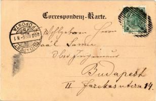 Weinzödl ob. Graz; Josef Zötsch Gasthaus 'zum Fischerwirth' / hotel, floral