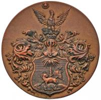 1927. "Debreceni Kereskedelmi Alkalmazottak Egyesülete 1867-1927" aranyozott Br emlékérem (39.5mm) T:2 Hungary 1927. "Association of Commercial Employees, Debrecen 1867-1927" gilt Br commemorative medallion (39.5mm) C:XF