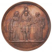 Német Államok / Szászország 1826. "Johann Wolfgang von Goethe" Cu emlékérem. Szign.: Fried...