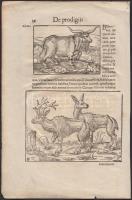 1557 Állatokat ábrázoló metszetek Conrad Lycosthenes (1518 -- 1561) Prodigiorum ac ostentorum chroni...