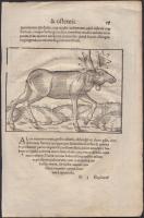 1557 Állatokat ábrázoló metszetek Conrad Lycosthenes (1518 -- 1561) Prodigiorum ac ostentorum chroni...