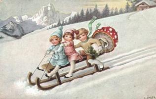 New Year, sledge, mushroom s: Öhler (Rb)