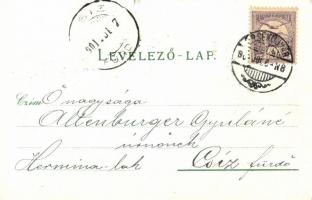 Vágújhely, Neubauer szálloda / Hotel, litho