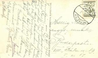 Borostyánkő, Bernstein; Schloss und Villa; Sophie Ressler Fotograf / castle and villa