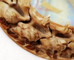 cca 1930 Balaton falidísz, benne kézzel festett képpel / Balaton ornament with hand painted picture ...