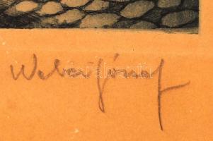 Weber József (?-?): Omladozó Tabán. Akvatinta, papír, jelzett, üvegezett keretben, 24×23 cm