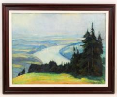 Emil Harlfinger (1891-1985): Rajna-völgy látképe a Fekete-erdőből. Olaj, vászon, jelzett, restaurált, 43×57 cm