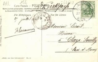 Schwarzwald, Kartoffelkrautverbrennen / peasants, view