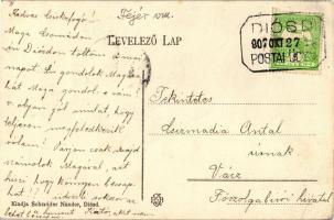 Diósd, floral; kiadja Schneider Nándor