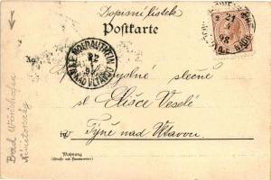 1898 Wörishofen, Pfarrer Kneipp litho