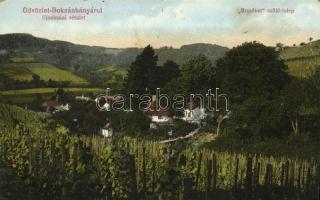 Boksánbánya, Németbogsán; Erzsébet szőlőtelep / wineyard