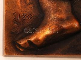 Seregi József (1939-): Fekvő nő. Bronz falikép, jelzett, 19×30 cm