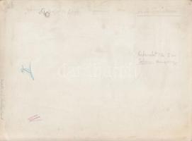 cca 1930 Dr. Szilágyi Dezső (Sopron): Der stille Bach című, feliratozott vintage fotóművészeti alkot...