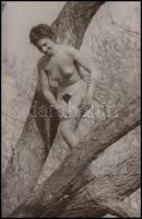 cca 1976 Harisnyában nehéz fára mászni, finoman erotikus fénykép, 14x9 cm / cca 1976 Erotic photo, 14x9 cm