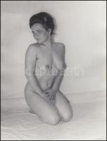 cca 1960 Kicsit szégyenlősen, finoman erotikus fénykép, 24x18 cm / cca 1960 Erotic photo, 24x18 cm