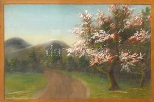 Miller jelzéssel: Virágzó japáncseresznye, festett selyemkép, antik keretben, 40×50 cm