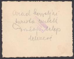 cca 1930 Arad hegyaljai turista emlékoszlop leleplezése, 6x8 cm