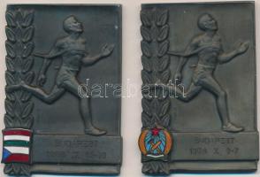 Vincze Dénes (1924-1972) 1956. 2db zománcozott Br sportolói plakett (47x68mm) T:1-,2